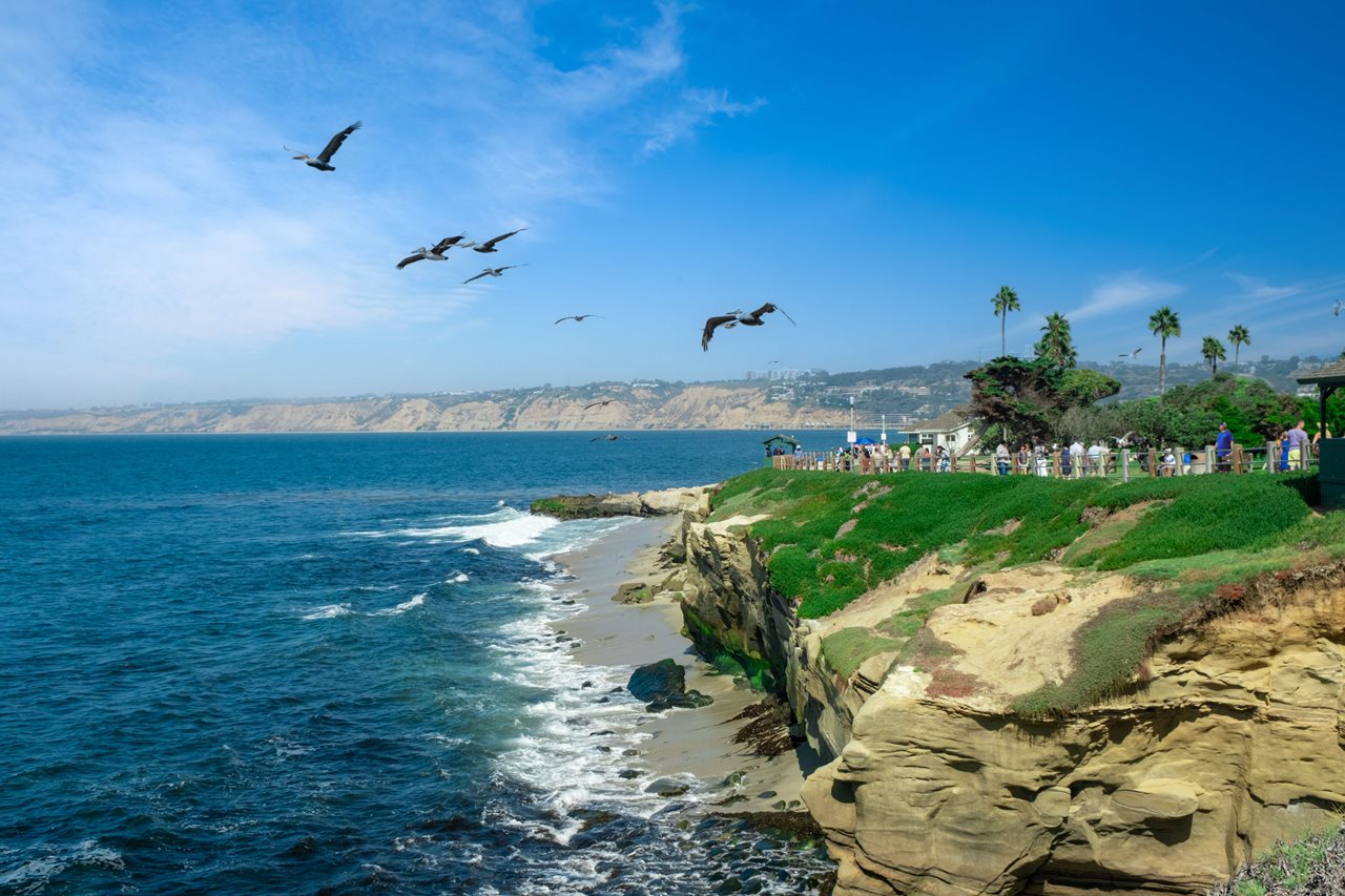 San Diego Ocean view with birds flying